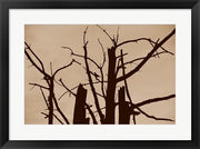 Perched and Sat and Nothing More II by Delaney Flanders