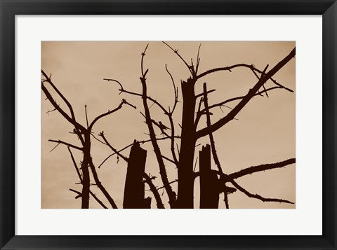 Perched and Sat and Nothing More II by Delaney Flanders
