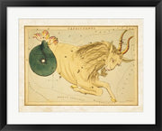 Capricornus Zodiac Sign