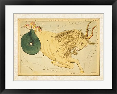 Capricornus Zodiac Sign