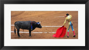 Bull and Matador Stand Off