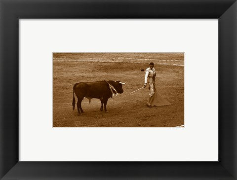 Matador and Bull