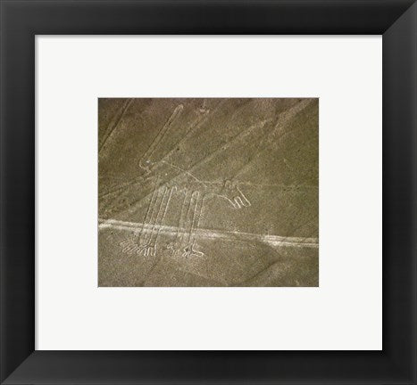 Nazca Lines Dog