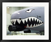 Flying Tigers I