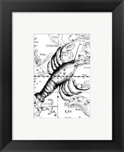 Cancer Hevelius