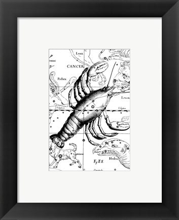 Cancer Hevelius