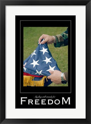 Freedom Affirmation Poster, USAF