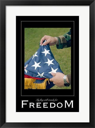 Freedom Affirmation Poster, USAF