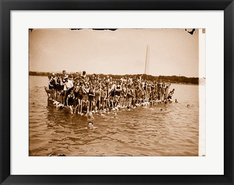 Hawaiian Swimmers at Potomac Tidal Basin