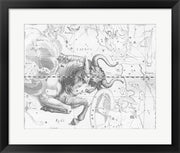 Taurus by Johannes Hevelius