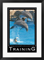 Training Affirmation Poster, USAF