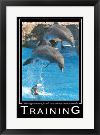 Training Affirmation Poster, USAF