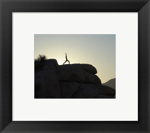 Joshua Tree - Yoga Warrior