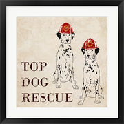 Top Dog Rescue