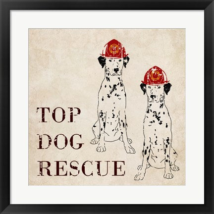 Top Dog Rescue