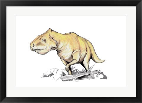 Prenoceratops