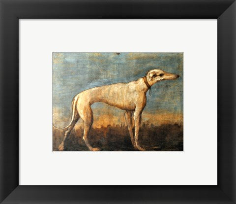 Greyhound, Giandomenico Tiepolo