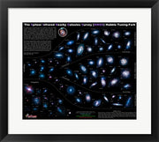 Lifestyles of the Galaxies Next Door