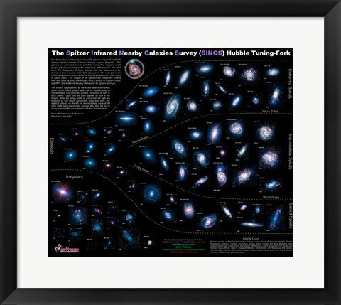 Lifestyles of the Galaxies Next Door