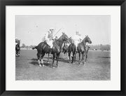 Polo Brown Lieut Palmes