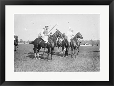 Polo Brown Lieut Palmes