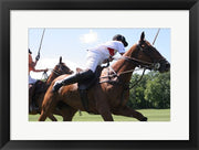Polo nearside swing