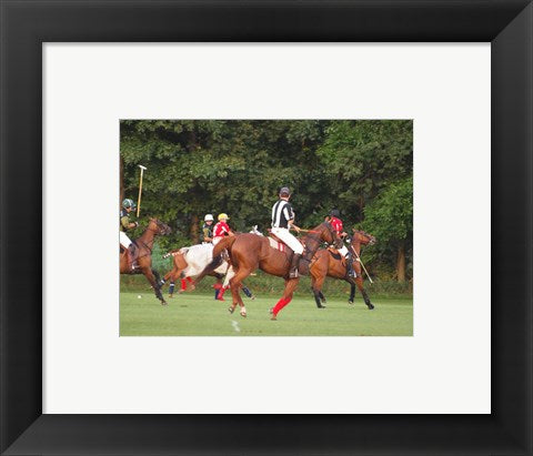 Polo Umpire