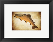 Brown Trout II