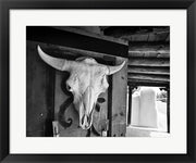 Protection by Rob Sturcke