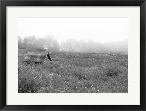 In the Fog by Delaney Flanders
