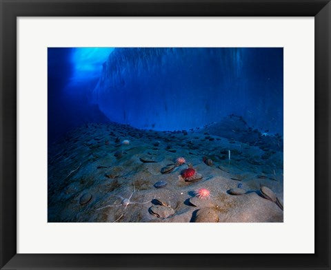 Ice Wall and the Ocean Floor at Explorer's Cover