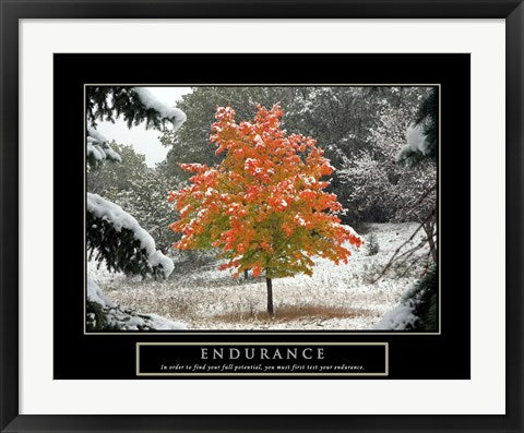 Endurance - Fall Tree