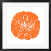Orange Sand Dollar by Veruca Salt