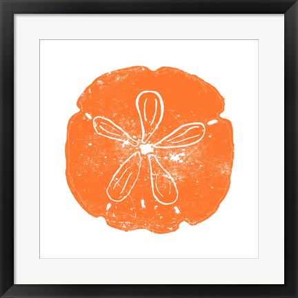 Orange Sand Dollar by Veruca Salt