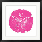 Pink Sand Dollar by Veruca Salt