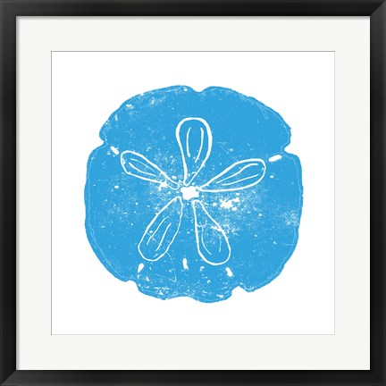 Blue Sand Dollar by Veruca Salt