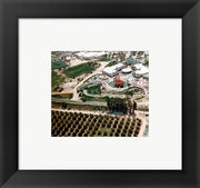 Disneyland and Orange Groves, 1955