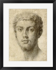 Head of a Man by Agnolo Bronzino