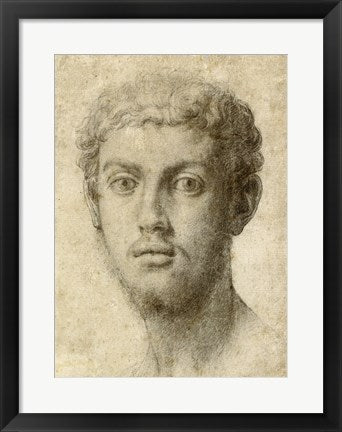 Head of a Man by Agnolo Bronzino