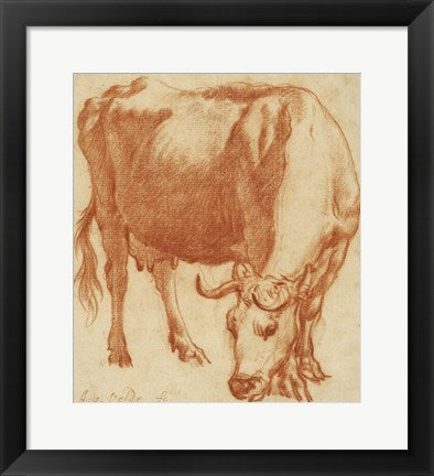 A Cow Grazing by Adriaen van de Velde