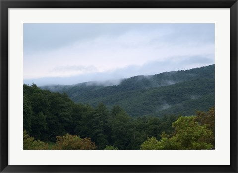 Fog in the Mountains