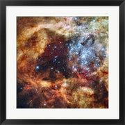 Hubble's Festive View of a Grand Star-Forming Region by NASA, ESA, STScl