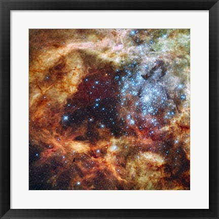Hubble's Festive View of a Grand Star-Forming Region by NASA, ESA, STScl