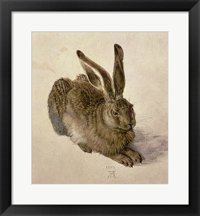 Young Hare, c.1502 by Albrecht Durer