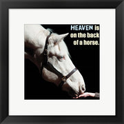 Horse Quote 9 by Sports Mania