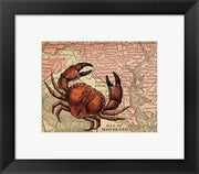 Maryland's Jumbo Crabs by Color Me Happy
