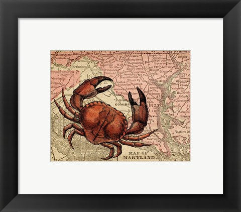 Maryland's Jumbo Crabs by Color Me Happy