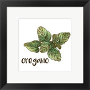 Oregano by Color Me Happy