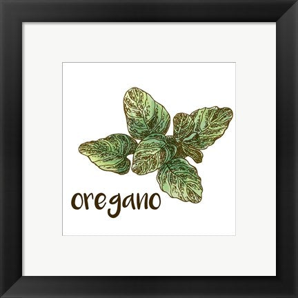 Oregano by Color Me Happy