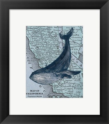 California's Grayback Whale by Color Me Happy